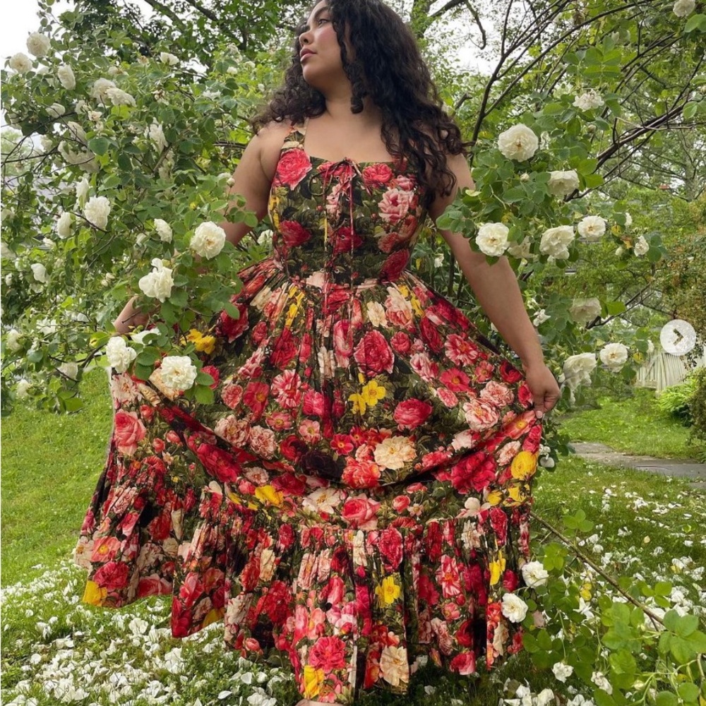 Samantha Pleet Antigone Corset Dress - Rose / Floral Print - Size 16 - NWT